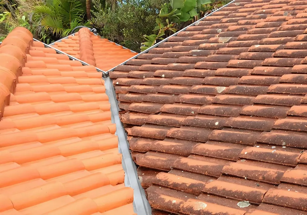 Démoussage et traitement toiture près de Beaufort-en-Anjou